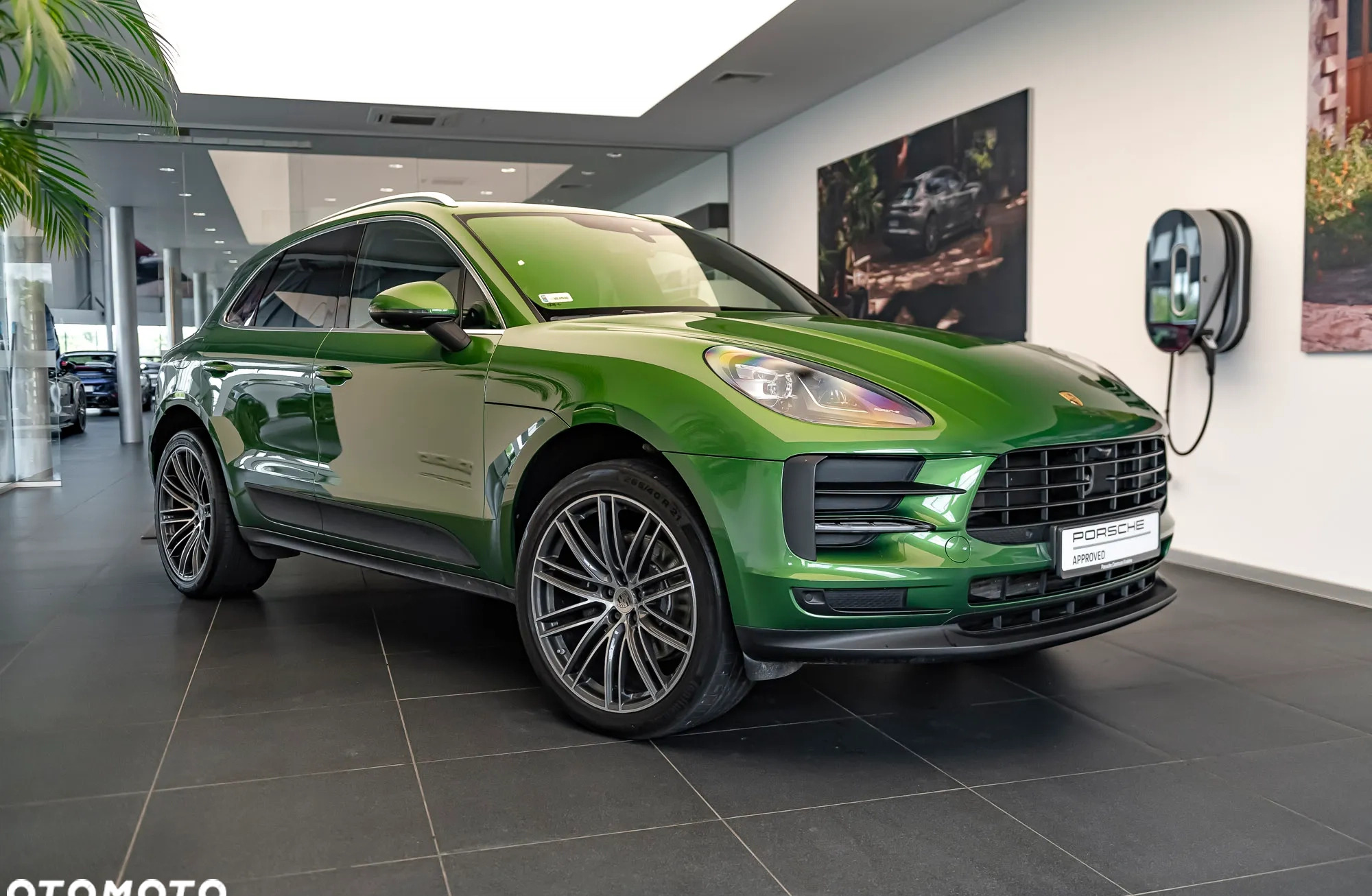 Porsche Macan cena 259000 przebieg: 103698, rok produkcji 2020 z Torzym małe 379